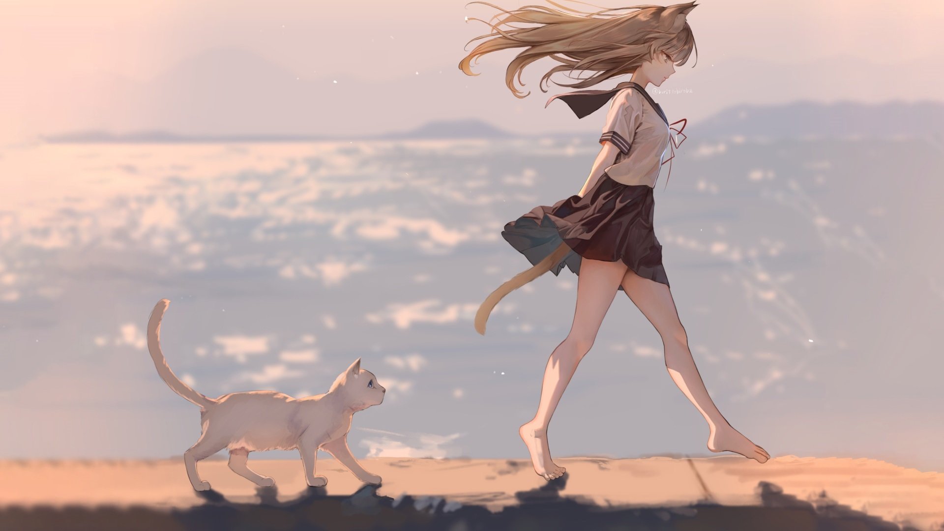 background picture of the home page